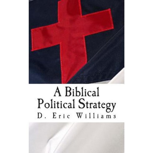 A Biblical Political Strategy Paperback, Createspace Independent Publishing Platform