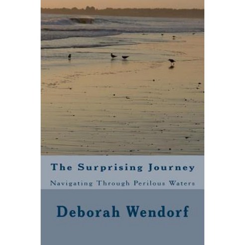 The Surprising Journey: Navigating Through Perilous Waters Paperback, Createspace Independent Publishing Platform
