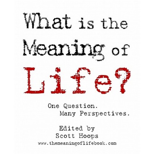 What Is the Meaning of Life?: One Question. Many Perspectives. Paperback, Createspace Independent Publishing Platform