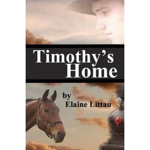 Timothy''s Home: Nan''s Heritage Series Paperback, Createspace Independent Publishing Platform