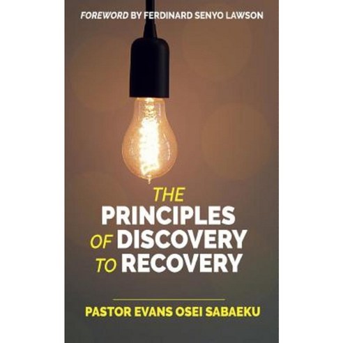 The Principles of Discovery to Recovery Paperback, Createspace Independent Publishing Platform