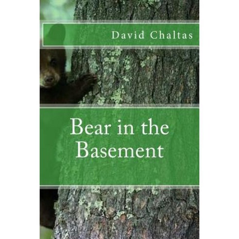 Bear in the Basement Paperback, Createspace Independent Publishing Platform