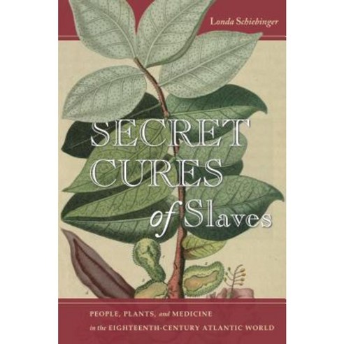 Secret Cures of Slaves: People Plants and Medicine in the Eighteenth-Century Atlantic World Paperback, Stanford University Press