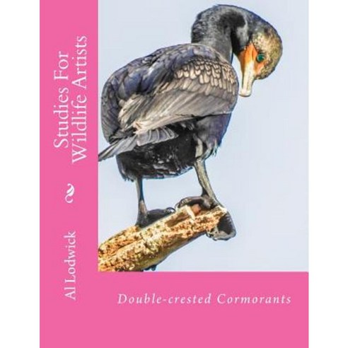 Double-Crested Cormorants: Studies for Wildlife Artists Paperback, Createspace Independent Publishing Platform