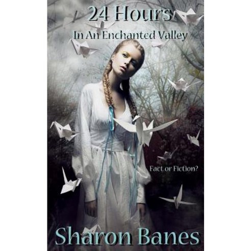24 Hours in an Enchanted Valley Paperback, Createspace Independent Publishing Platform