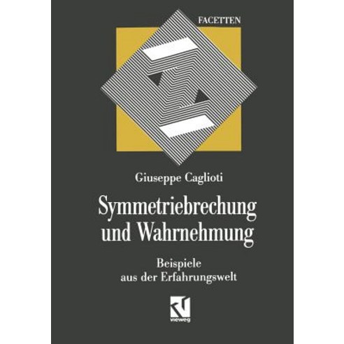 Symmetriebrechung Und Wahrnehmung: Beispiele Aus Der Erfahrungswelt Paperback, Vieweg+teubner Verlag