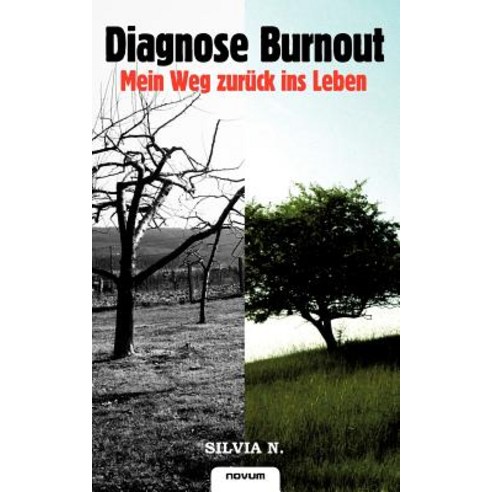 Diagnose Burnout Paperback, Novum Publishing