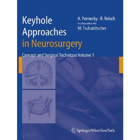 Keyhole Approaches in Neurosurgery: Volume 1: Concept and Surgical ...