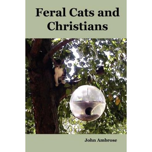 Feral Cats and Christians Paperback, Lulu.com
