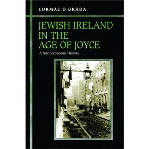 Jewish Ireland in the Age of Joyce: A Socioeconomic History Hardcover, Princeton University Press