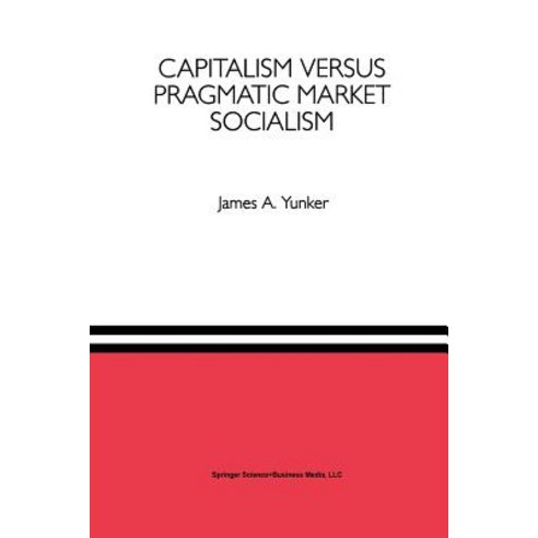 Capitalism Versus Pragmatic Market Socialism: A General Equilibrium Evaluation Paperback, Springer