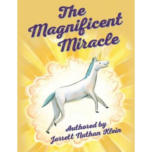 The Magnificent Miracle Paperback, Createspace Independent Publishing Platform