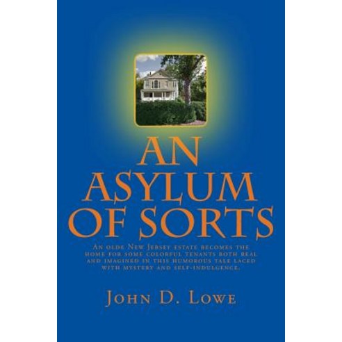 An Asylum of Sorts Paperback, John Lowe