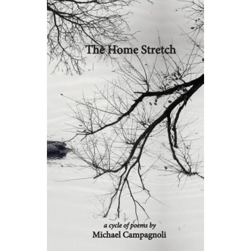 The Home Stretch Paperback, Unsolicited Press