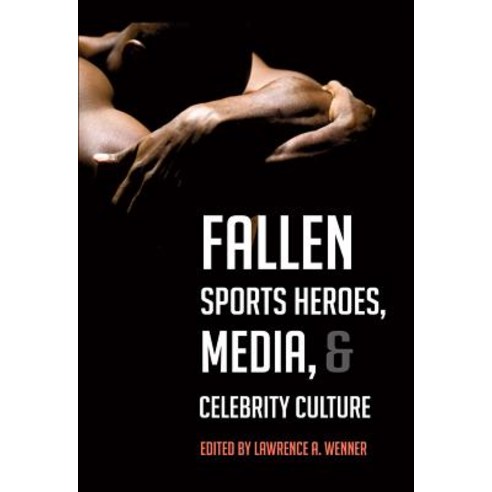 Fallen Sports Heroes Media & Celebrity Culture Hardcover, Peter Lang Inc., International Academic Publi