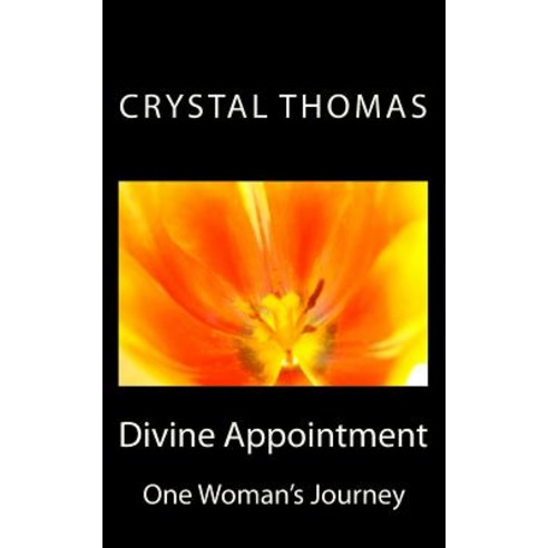 Divine Appointment: One Woman''s Journey Paperback, Kingdom Concepts Publishing Co