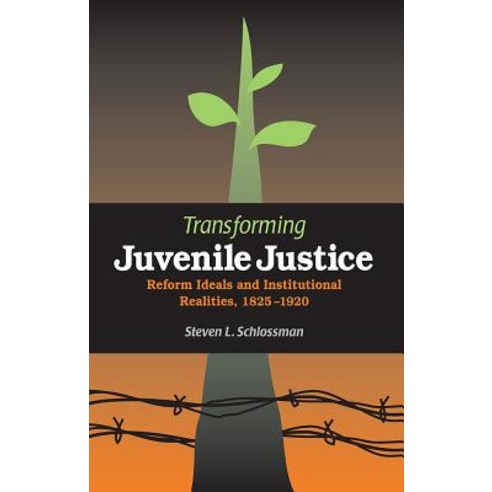 Transforming Juvenile Justice: Reform Ideals and Institutional Realities 1825-1920 Paperback, Northern Illinois University Press