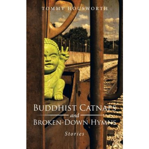 Buddhist Catnaps and Broken-Down Hymns: Stories Paperback, iUniverse