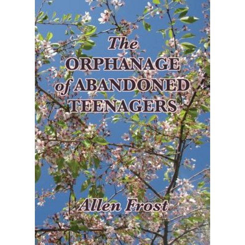 The Orphanage of Abandoned Teenagers Paperback, Good Deed Rain