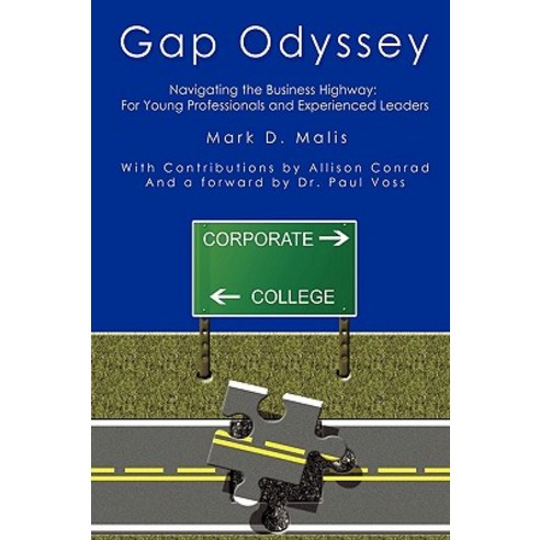 Gap Odyssey: Navigating the Business Highway: For Young Professionals and Experienced Leaders Paperback, Authorhouse