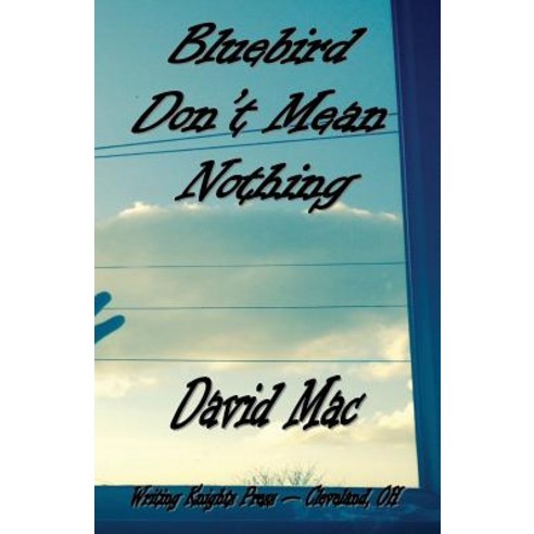 Bluebird Don''t Mean Nothing Paperback, Createspace Independent Publishing Platform