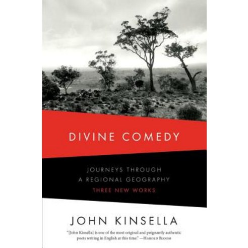 Divine Comedy: Journeys Through a Regional Geography: Three New Works Paperback, W. W. Norton & Company