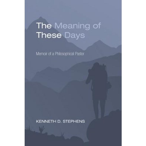 The Meaning of These Days Paperback, Resource Publications (OR)