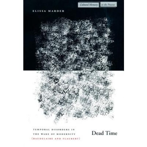 Dead Time: Temporal Disorders in the Wake of Modernity (Baudelaire and Flaubert) Hardcover, Stanford University Press