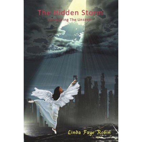 The Hidden Storm: Conquering the Unseen Paperback, Outskirts Press