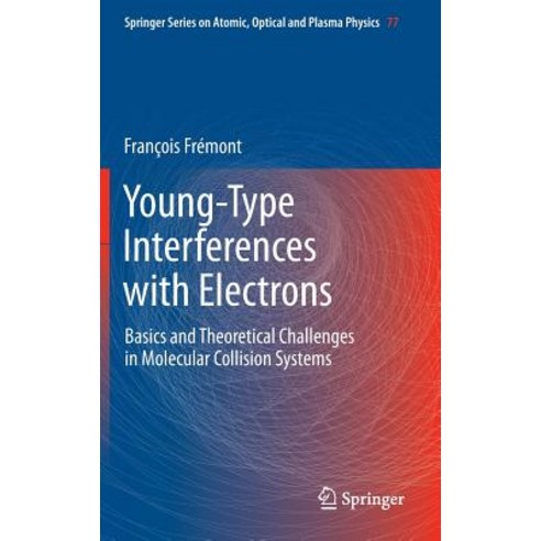 Young-Type Interferences with Electrons: Basics and Theoretical Challenges in Molecular Collision Systems Hardcover, Springer