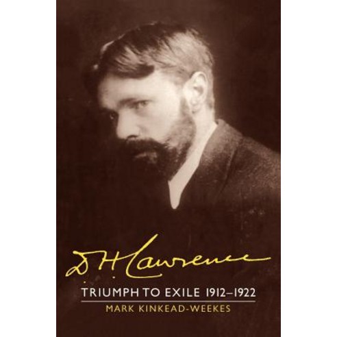 D H. Lawrence:Triumph to Exile 1912 1922: The Cambridge Biography of D. H. Lawrence, Cambridge University Press