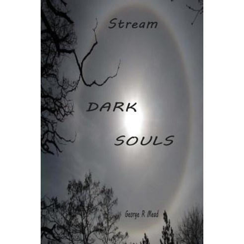 Dark Souls: Stream Paperback, Ecat Worlds