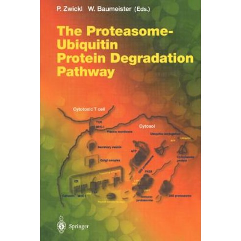 The Proteasome -- Ubiquitin Protein Degradation Pathway Paperback, Springer
