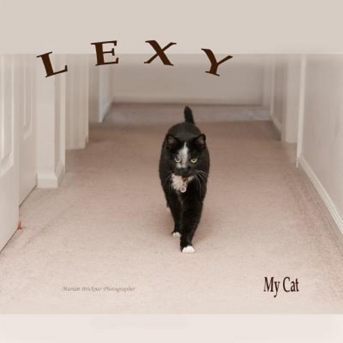 Lexy My Cat Paperback, Createspace Independent Publishing Platform