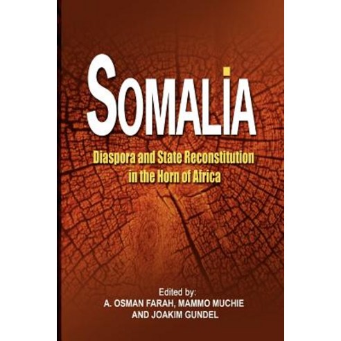 Somalia: Diaspora and State Reconstitution in the Horn of Africa Paperback, Adonis & Abbey Publishers
