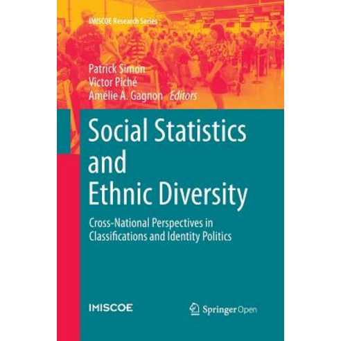 Social Statistics and Ethnic Diversity: Cross-National Perspectives in Classifications and Identity Politics Paperback, Springer