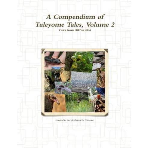 A Compendium of Tuleyome Tales Volume 2 Paperback, Lulu.com