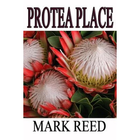 Protea Place Paperback, Createspace Independent Publishing Platform