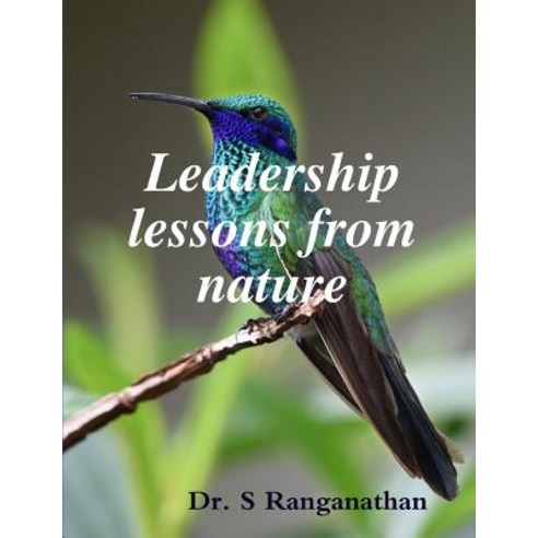 Leadership Lessons from Nature Paperback, Lulu.com