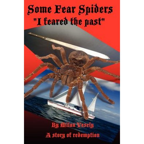 Some Fear Spiders: I Feared the Ghosts in My Mind. Paperback, Createspace Independent Publishing Platform