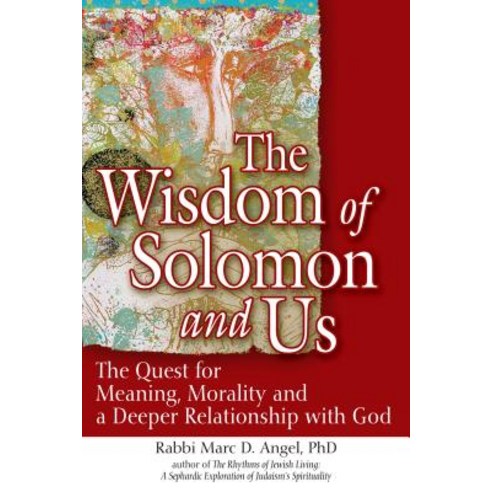 The Wisdom of Solomon and Us: The Quest for Meaning Morality and a Deeper Relationship with God Hardcover, Jewish Lights Publishing