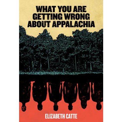 What You Are Getting Wrong about Appalachia Paperback, Belt Publishing