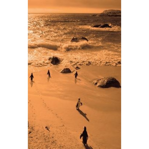 Alive! Little Penguin Friends - Orange Duotone - Photo Art Notebooks (5 X 8 Series) Paperback, Blurb