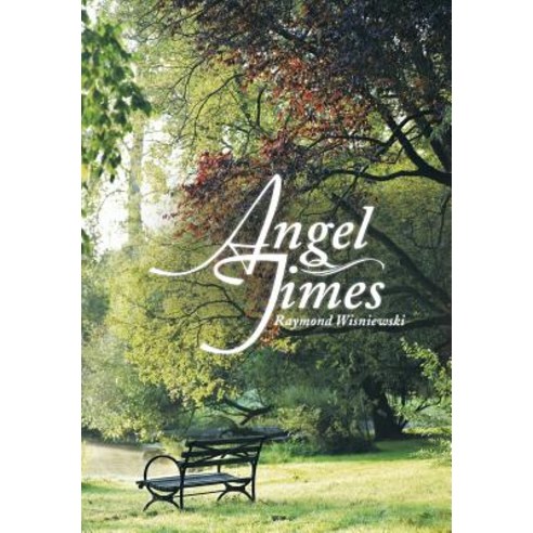 Angel Times Hardcover, Xlibris
