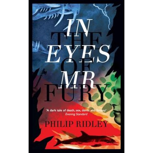 In the Eyes of Mr Fury Paperback, Valancourt Books