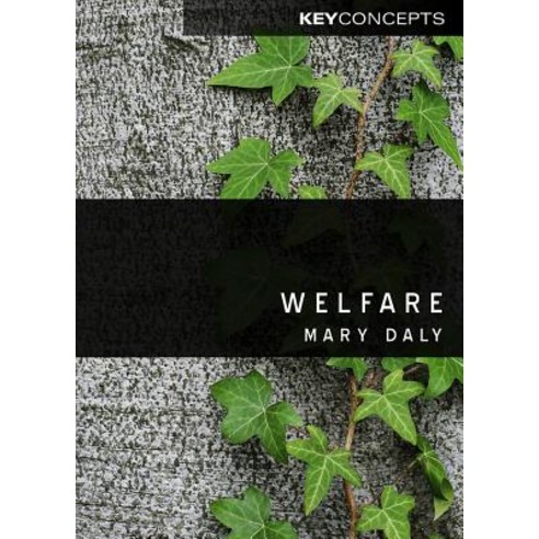Welfare Paperback, Polity Press