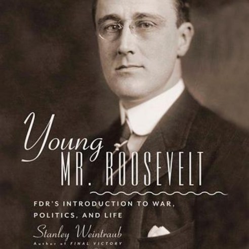 Young Mr. Roosevelt: FDR''s Introduction to War Politics and Life ...