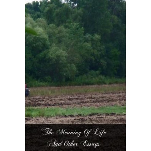 The Meaning of Life and Other Essays Paperback, Createspace Independent Publishing Platform