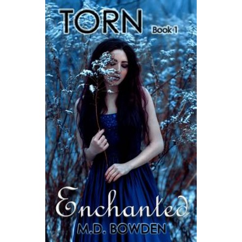 Enchanted Paperback, Createspace Independent Publishing Platform