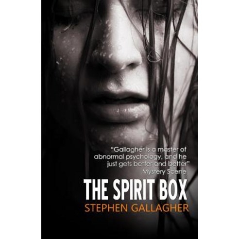 The Spirit Box Paperback, Brooligan Press